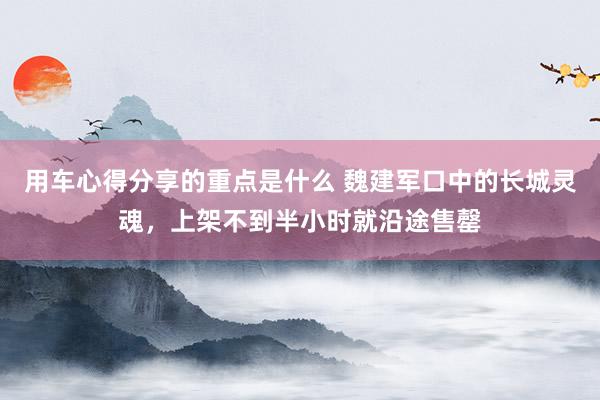 用车心得分享的重点是什么 魏建军口中的长城灵魂，上架不到半小时就沿途售罄