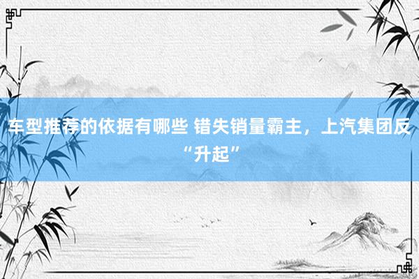 车型推荐的依据有哪些 错失销量霸主，上汽集团反“升起”