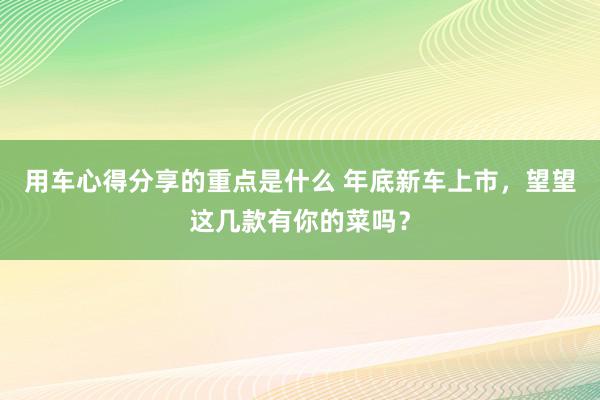 用车心得分享的重点是什么 年底新车上市，望望这几款有你的菜吗？