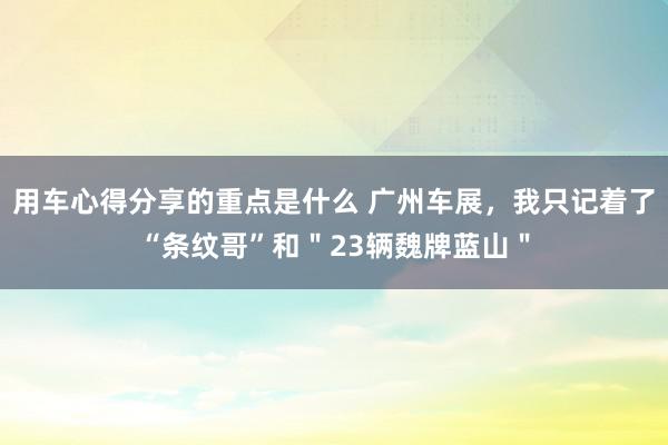 用车心得分享的重点是什么 广州车展，我只记着了“条纹哥”和＂23辆魏牌蓝山＂