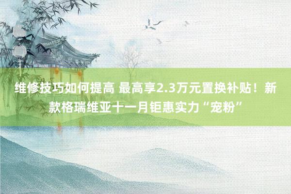 维修技巧如何提高 最高享2.3万元置换补贴！新款格瑞维亚十一月钜惠实力“宠粉”