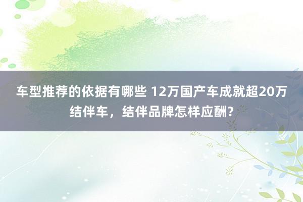 车型推荐的依据有哪些 12万国产车成就超20万结伴车，结伴品牌怎样应酬？