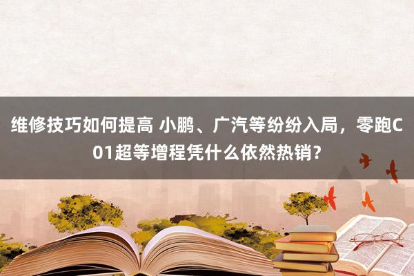 维修技巧如何提高 小鹏、广汽等纷纷入局，零跑C01超等增程凭什么依然热销？