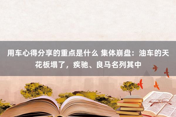 用车心得分享的重点是什么 集体崩盘：油车的天花板塌了，疾驰、良马名列其中