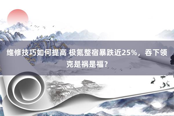 维修技巧如何提高 极氪整宿暴跌近25%，吞下领克是祸是福？