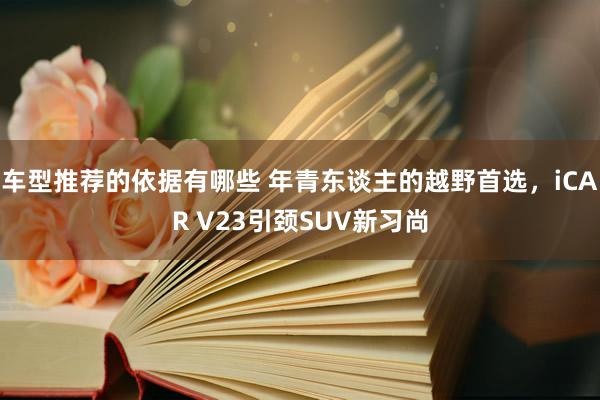 车型推荐的依据有哪些 年青东谈主的越野首选，iCAR V23引颈SUV新习尚