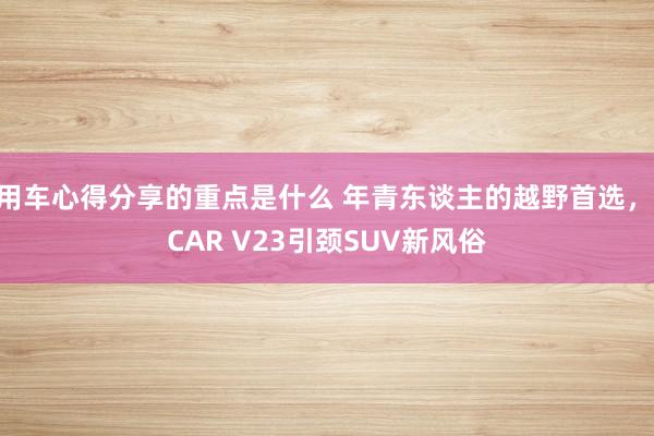 用车心得分享的重点是什么 年青东谈主的越野首选，iCAR V23引颈SUV新风俗