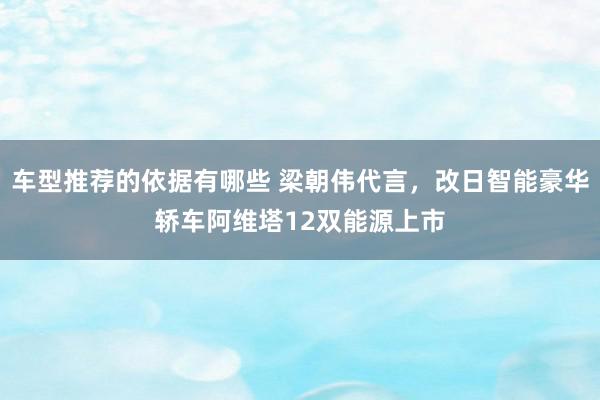 车型推荐的依据有哪些 梁朝伟代言，改日智能豪华轿车阿维塔12双能源上市