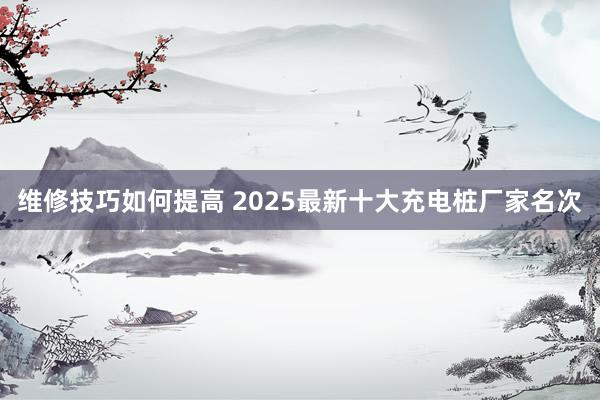 维修技巧如何提高 2025最新十大充电桩厂家名次