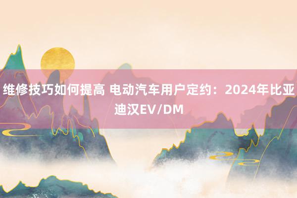 维修技巧如何提高 电动汽车用户定约：2024年比亚迪汉EV/DM