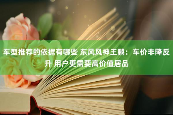 车型推荐的依据有哪些 东风风神王鹏：车价非降反升 用户更需要高价值居品