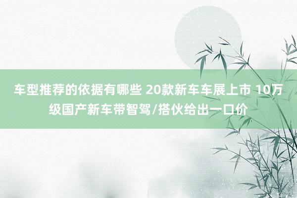 车型推荐的依据有哪些 20款新车车展上市 10万级国产新车带智驾/搭伙给出一口价