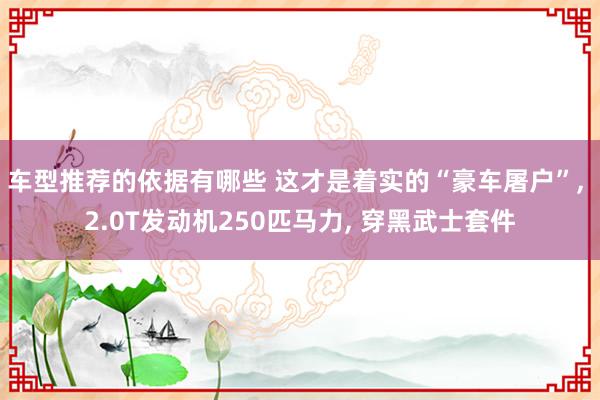 车型推荐的依据有哪些 这才是着实的“豪车屠户”, 2.0T发动机250匹马力, 穿黑武士套件