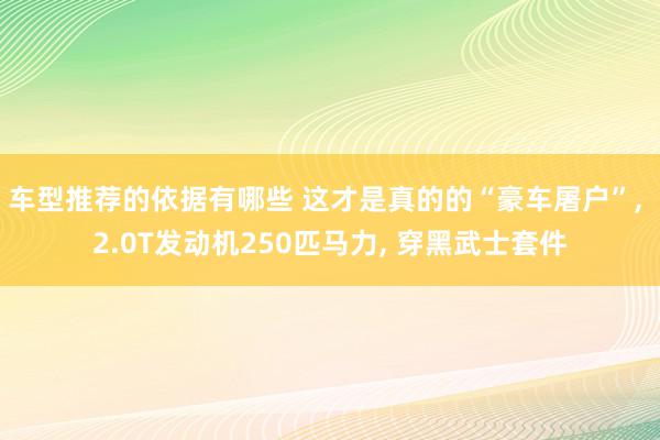 车型推荐的依据有哪些 这才是真的的“豪车屠户”, 2.0T发动机250匹马力, 穿黑武士套件