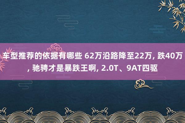 车型推荐的依据有哪些 62万沿路降至22万, 跌40万, 驰骋才是暴跌王啊, 2.0T、9AT四驱