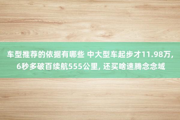 车型推荐的依据有哪些 中大型车起步才11.98万, 6秒多破百续航555公里, 还买啥速腾念念域