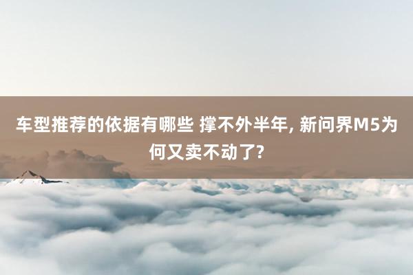 车型推荐的依据有哪些 撑不外半年, 新问界M5为何又卖不动了?