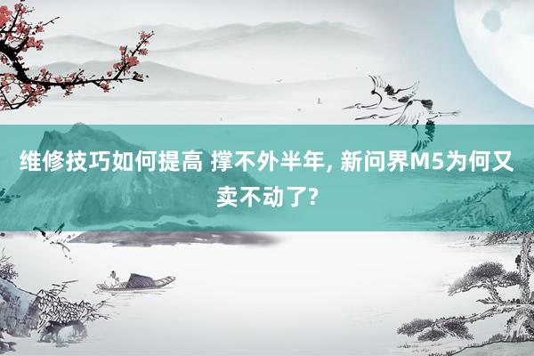 维修技巧如何提高 撑不外半年, 新问界M5为何又卖不动了?