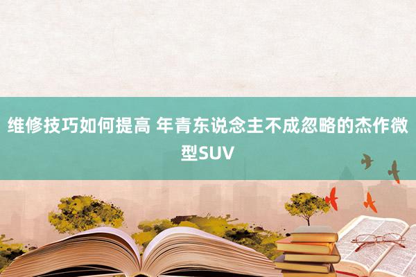 维修技巧如何提高 年青东说念主不成忽略的杰作微型SUV