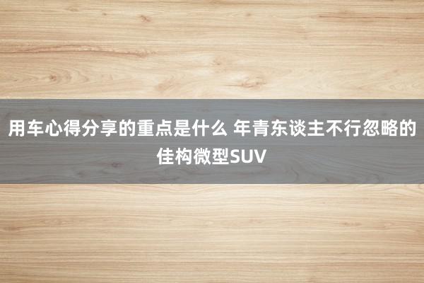 用车心得分享的重点是什么 年青东谈主不行忽略的佳构微型SUV