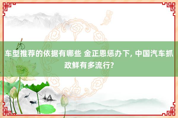 车型推荐的依据有哪些 金正恩惩办下, 中国汽车抓政鲜有多流行?