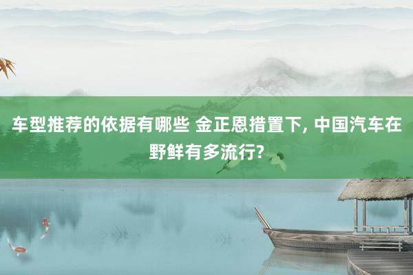 车型推荐的依据有哪些 金正恩措置下, 中国汽车在野鲜有多流行?