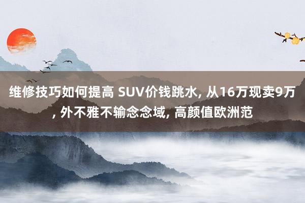 维修技巧如何提高 SUV价钱跳水, 从16万现卖9万, 外不雅不输念念域, 高颜值欧洲范