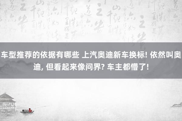 车型推荐的依据有哪些 上汽奥迪新车换标! 依然叫奥迪, 但看起来像问界? 车主都懵了!