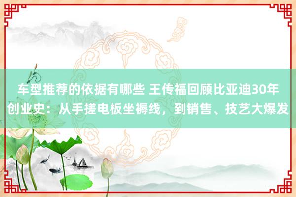 车型推荐的依据有哪些 王传福回顾比亚迪30年创业史：从手搓电板坐褥线，到销售、技艺大爆发