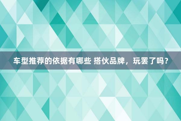 车型推荐的依据有哪些 搭伙品牌，玩罢了吗？