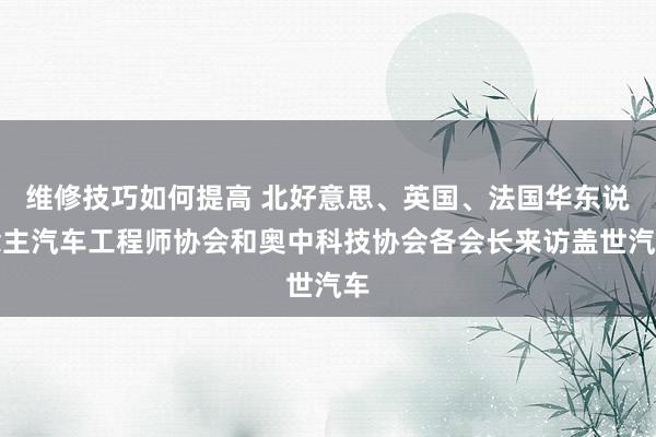 维修技巧如何提高 北好意思、英国、法国华东说念主汽车工程师协会和奥中科技协会各会长来访盖世汽车