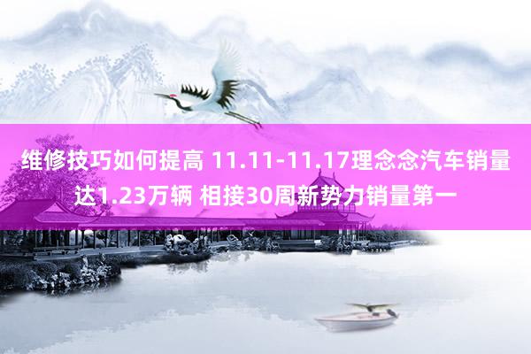 维修技巧如何提高 11.11-11.17理念念汽车销量达1.23万辆 相接30周新势力销量第一