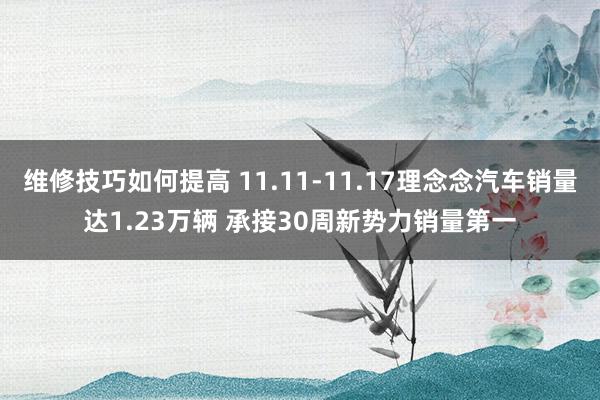 维修技巧如何提高 11.11-11.17理念念汽车销量达1.23万辆 承接30周新势力销量第一