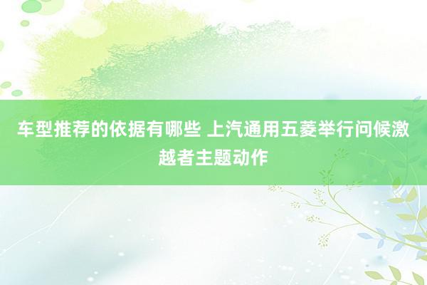 车型推荐的依据有哪些 上汽通用五菱举行问候激越者主题动作