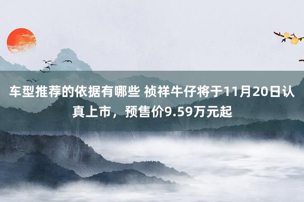 车型推荐的依据有哪些 祯祥牛仔将于11月20日认真上市，预售价9.59万元起