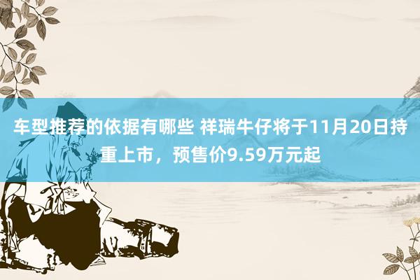 车型推荐的依据有哪些 祥瑞牛仔将于11月20日持重上市，预售价9.59万元起